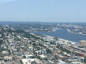 Space Needle view